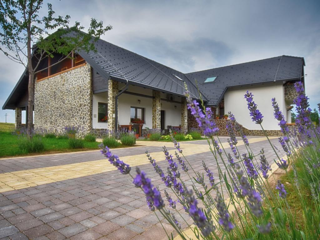 Villa Stone Rakovica Zewnętrze zdjęcie