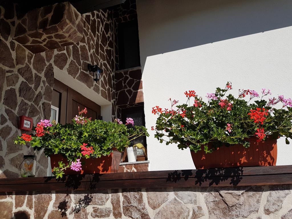 Villa Stone Rakovica Zewnętrze zdjęcie