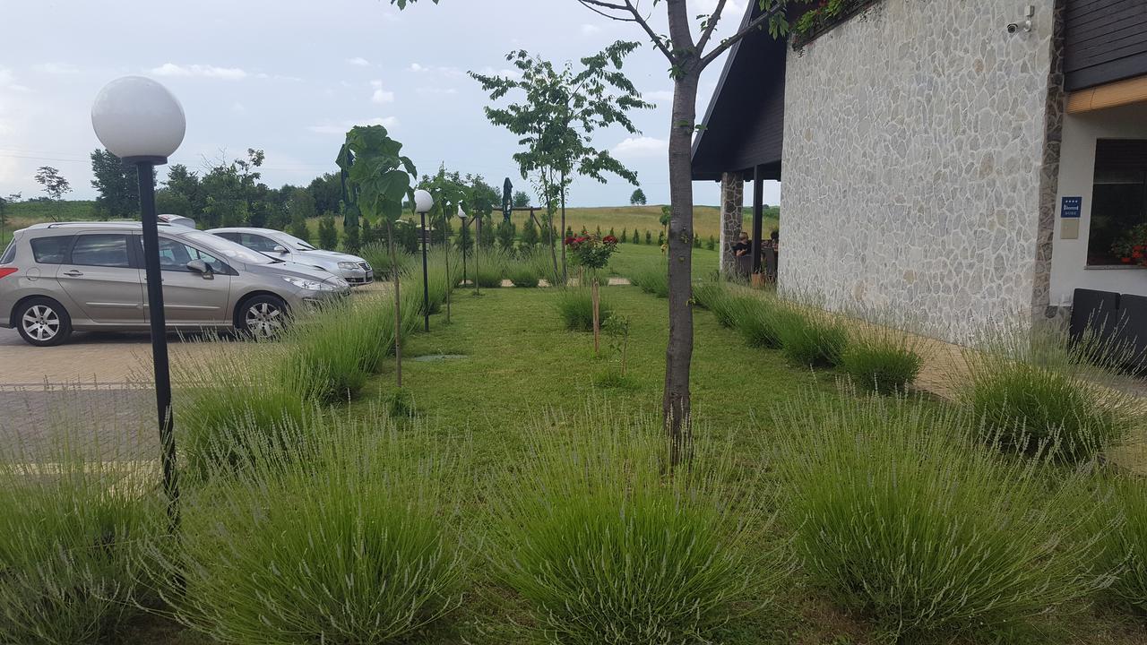 Villa Stone Rakovica Zewnętrze zdjęcie