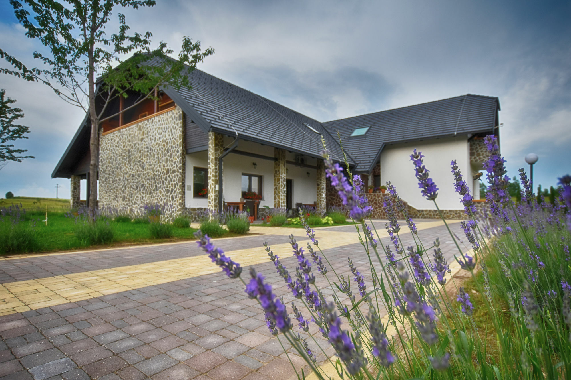 Villa Stone Rakovica Zewnętrze zdjęcie